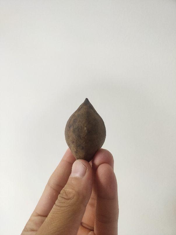 橄榄核雕，小鸟，内含制作过程。