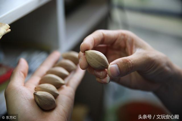 橄榄核手串一般都是多少钱？