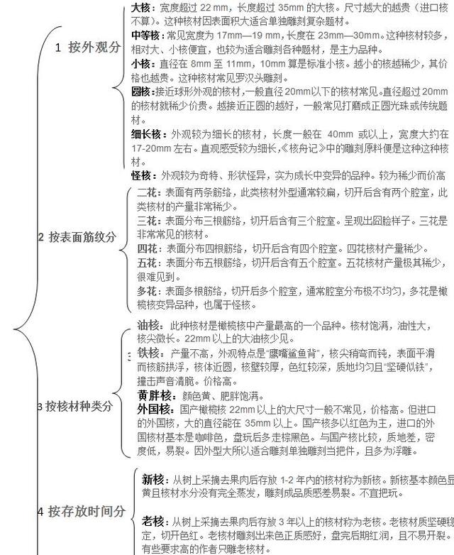 关于橄榄核，全面知识来了，就分享这一次