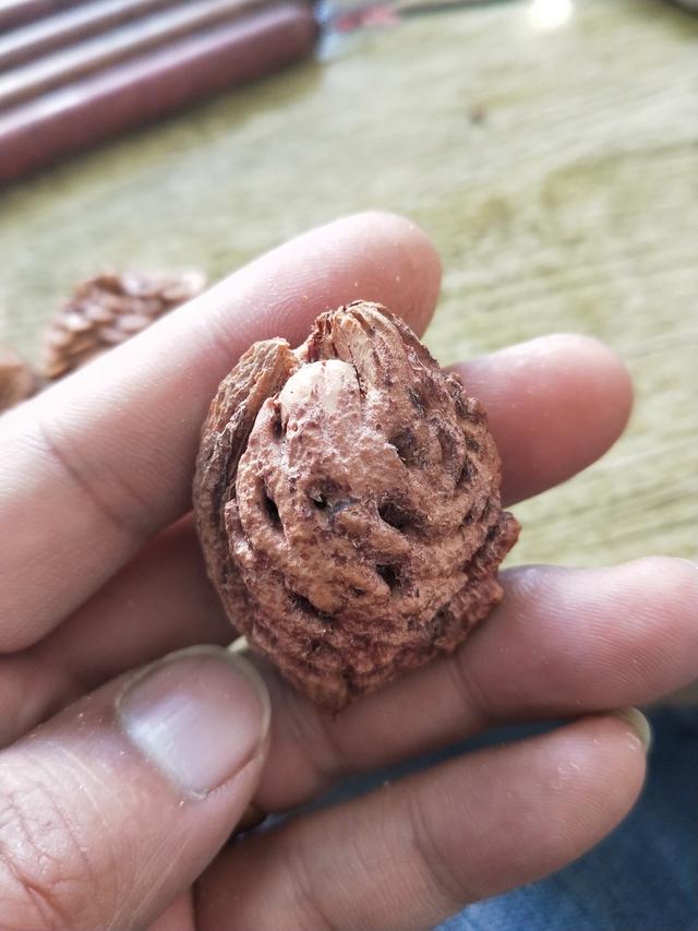灵龙核雕；雷神，桃核的蜕变