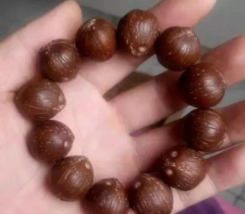紫金鼠、橄榄核、猴头，光珠手串哪个最贵？