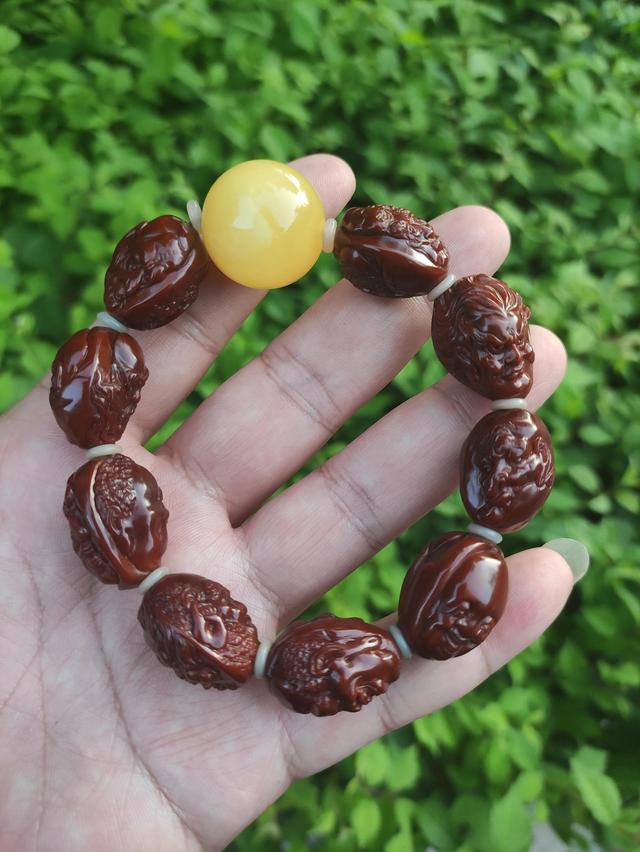 橄榄核的种类区别
